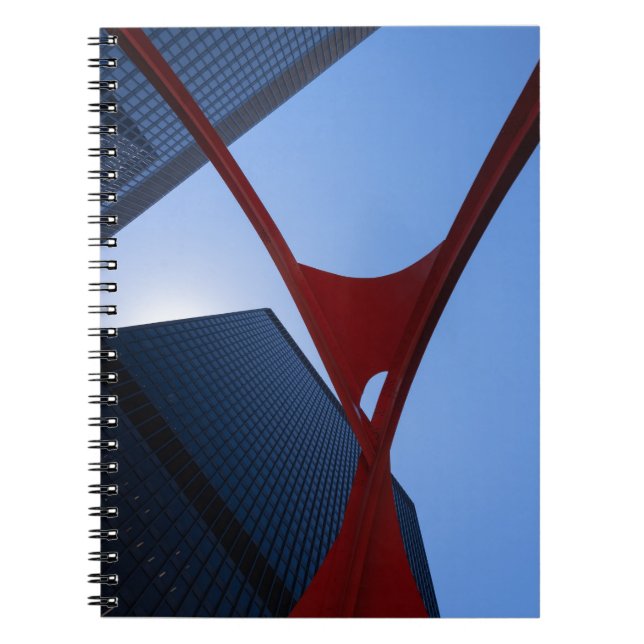 Carnet Flamant rose de Chicago (Devant)