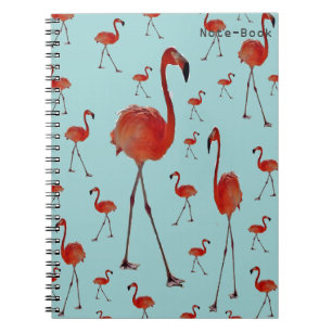 Carnet Flamants roses de marche