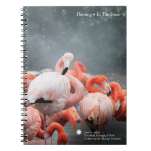 Carnet Flamants roses de Smithsonien   dans la neige
