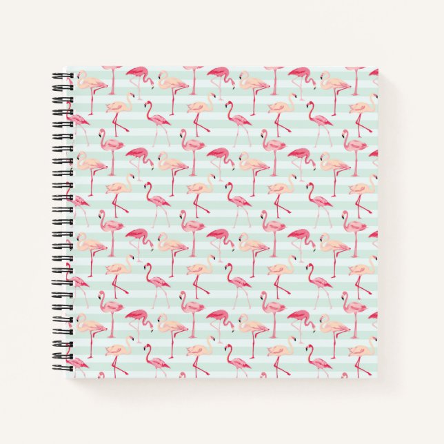 Carnet Flamants roses Rétro Sur Bandes De Monnaie (Devant)