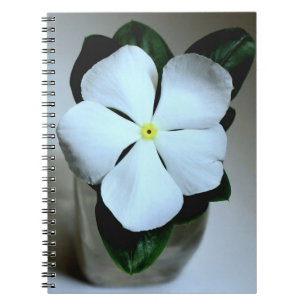 Carnet Fleur blanche