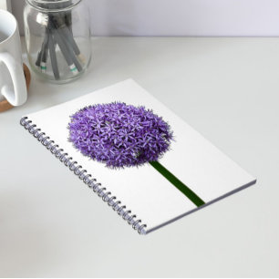 Carnet Fleur d'Allium pourpre sur fond blanc