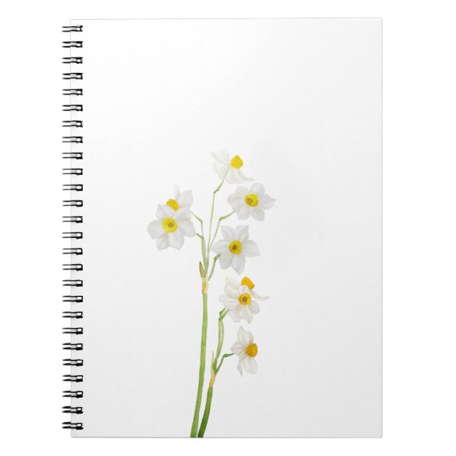 Carnet fleur d'aquarelle de narcisse blanche (Devant)