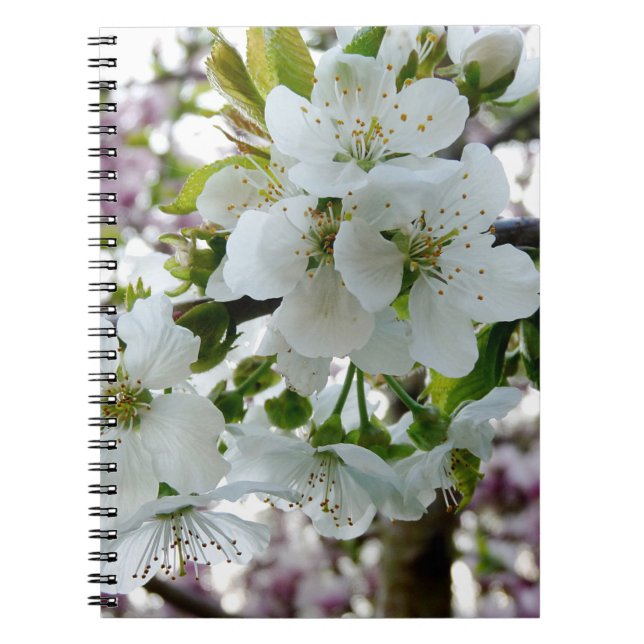 Carnet Fleur de cerise (Devant)