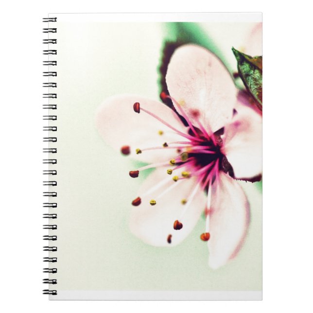 Carnet Fleur de cerise (Devant)