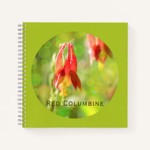 Carnet Fleur de Columbine Rouge sur Atlantis Green
