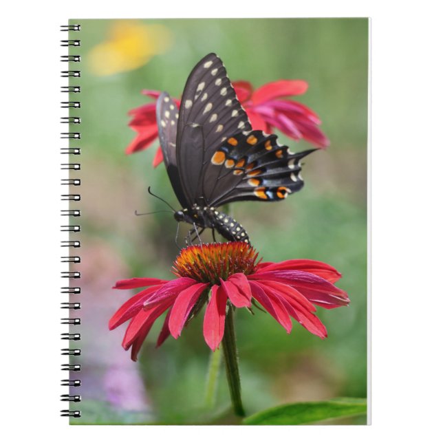 Carnet Fleur de cône noire orientale (Devant)