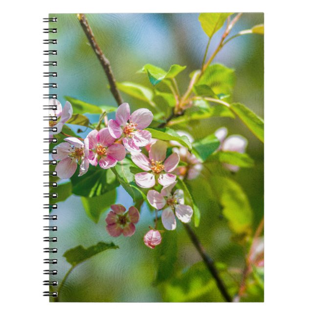 Carnet Fleur de fleurs de pomme rose (Devant)