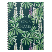 Fleur de lupin
