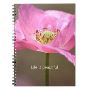 Carnet Fleur de pavot d'Islande rose blush (ma photograph