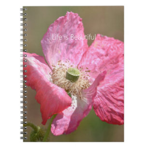 Carnet Fleur de pavot d'Islande rose (ma photographie)