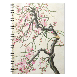 Carnet Fleur de pêche (couleur sur le papier)