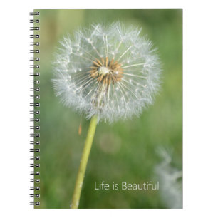 Carnet Fleur de Pissenlit (ma photographie)