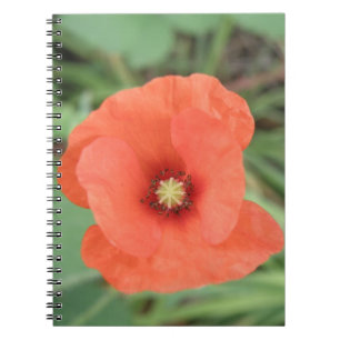 Carnet Fleur de Poppy sauvage