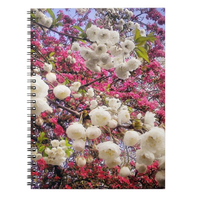 Carnet Fleur de printemps blanche et rose au Pays de Gall (Devant)