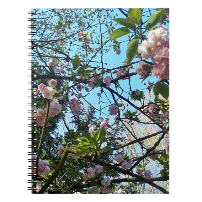 Carnet Fleur, Fleur, Fleur, Nature (Devant)