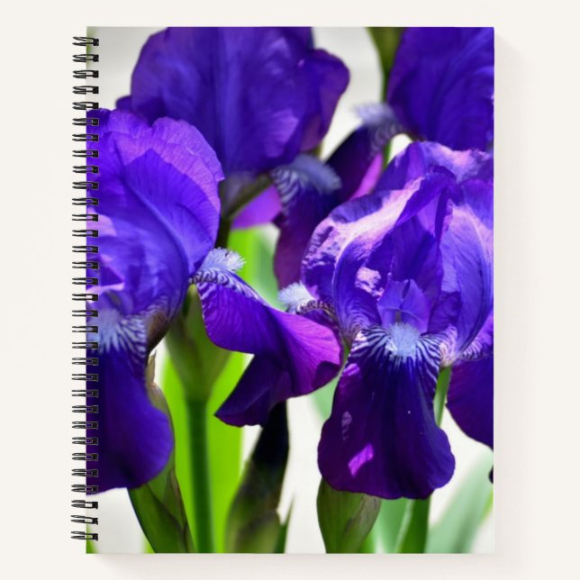 Carnet Fleur Iris Iris Violet (Devant)