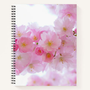 Carnet Fleur japonaise de cerisier