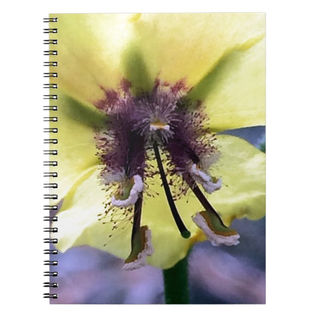Carnet Fleur jaune 3 (Devant)
