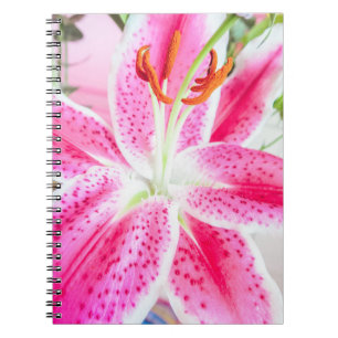 Carnet Fleur Lily de Stargazer