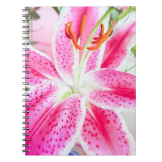 Carnet Fleur Lily Stargazer