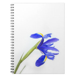 Carnet Fleur pourpre d'iris