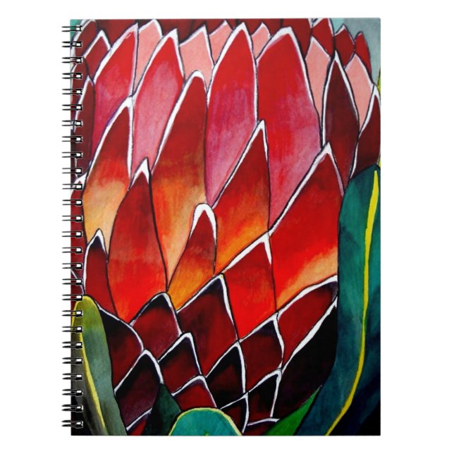 Carnet Fleur rouge Protea art original aquarelle (Devant)