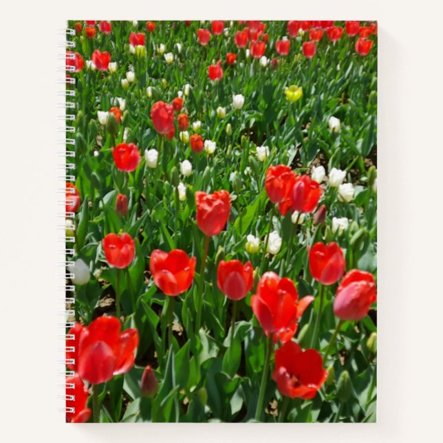 Carnet Fleur rouge Tulip Photo (Devant)