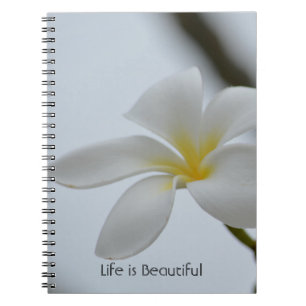 Carnet Fleur tropicale de Plumeria Kauai (ma photographie