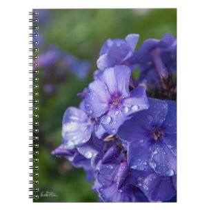 Carnet fleur violet avec la rosée du matin notebook