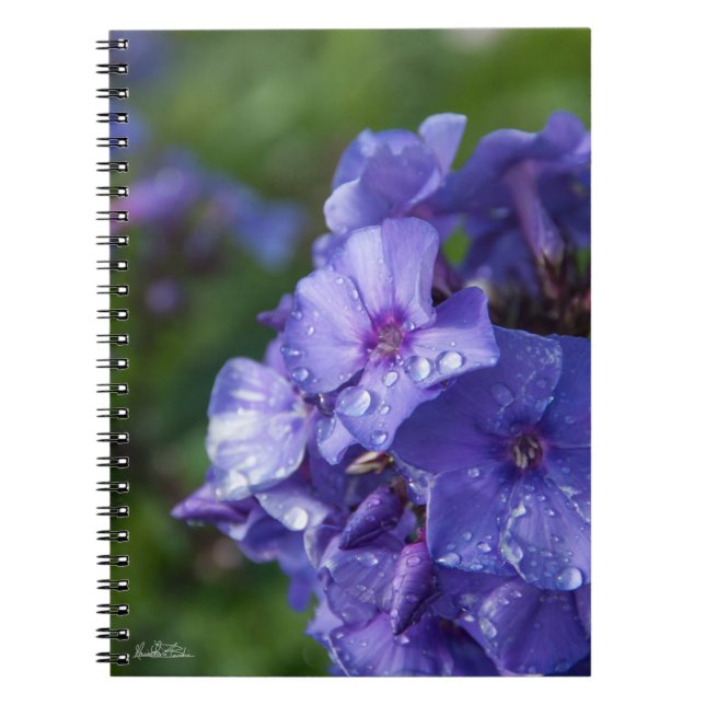 Carnet fleur violet avec la rosée du matin notebook (Front)