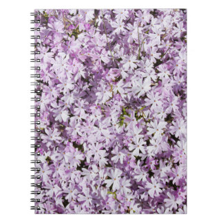 Carnet Fleur violette, cadre de fraîcheur estivale.