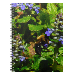Carnet Fleur violette et abeille boursouflante