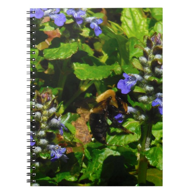 Carnet Fleur violette et abeille boursouflante (Devant)