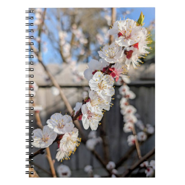 Carnet Fleurs (Devant)