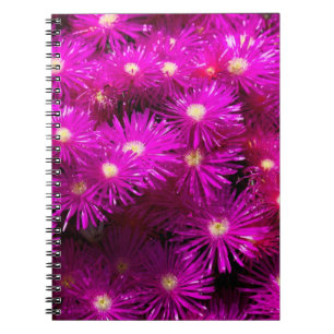 Carnet Fleurs d'aster rose
