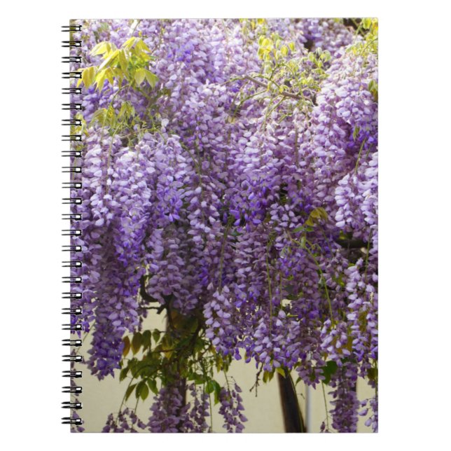 Carnet Fleurs de bisteria violet (Devant)