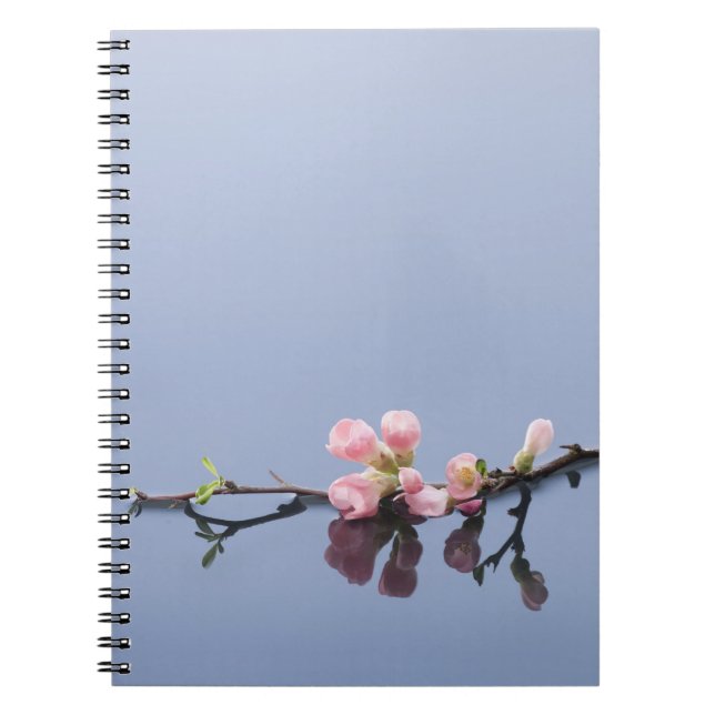 Carnet Fleurs de cerisier sur l'eau (Devant)
