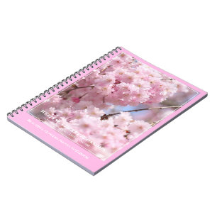 Carnet Fleurs de cerisiers en pleurs [Carnet photo]