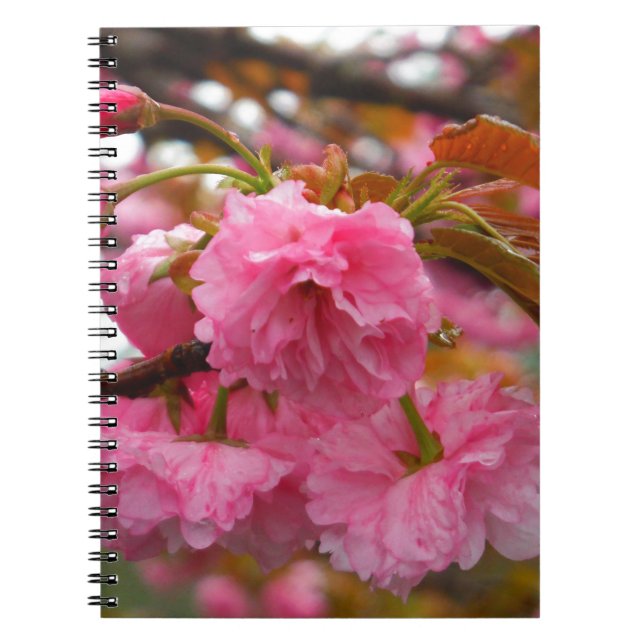 Carnet Fleurs de fleurs de cerisier rose chaud (Devant)
