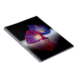 CARNET FLEURS DE GLOIRE DU MATIN