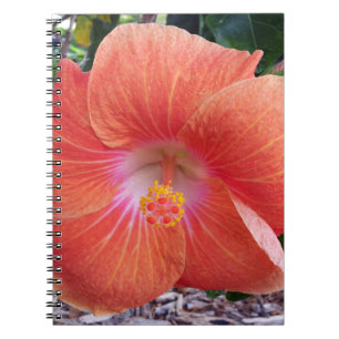 Carnet Fleurs de ketmie d'Hawaï