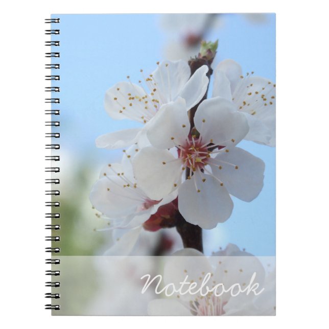 Carnet Fleurs de Pêche (Devant)