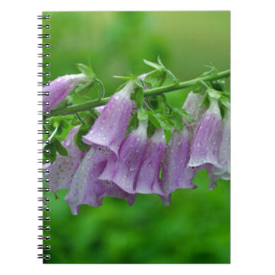 Carnet Fleurs de renard pourpre