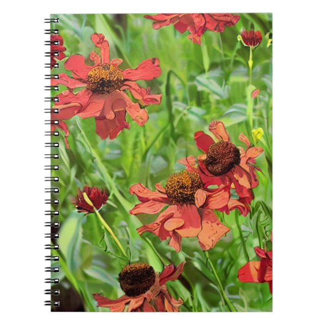 CARNET FLEURS DE RUDBECKIA ROUGES (Devant)
