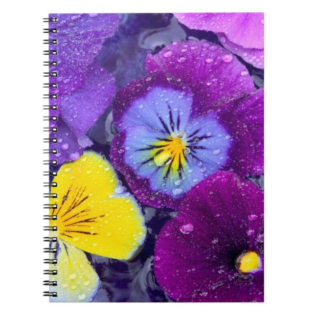 Carnet Fleurs de sansonnet flottant dans un bain d'oiseau (Devant)
