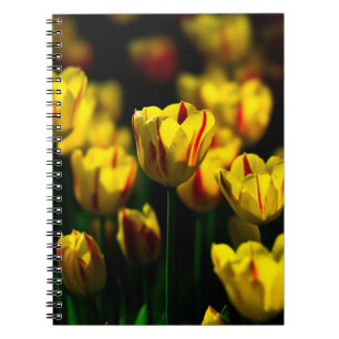 Carnet Fleurs de tulipe jaune