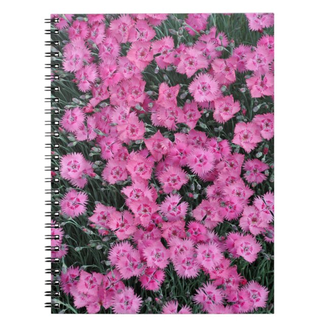 Carnet Fleurs de willim rose (Devant)