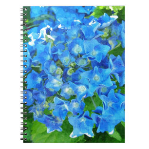 Carnet Fleurs d'hydrangée bleue. Photographie florale.