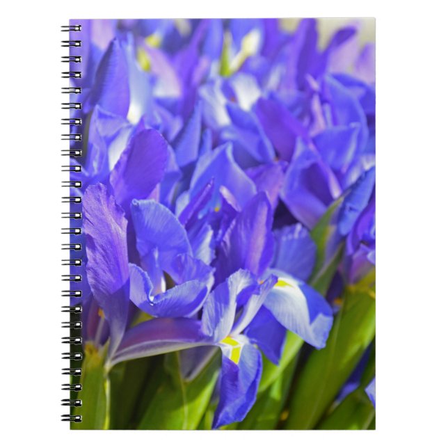 Carnet Fleurs d'Iris (Devant)